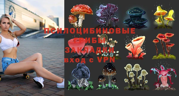 таблы Белокуриха