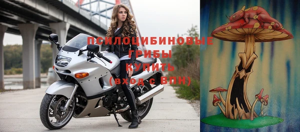 дурь Богородицк