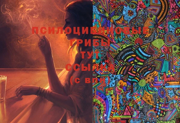 Альфа ПВП Богданович