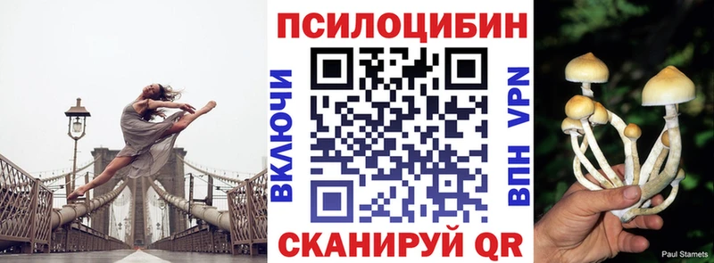 Псилоцибиновые грибы GOLDEN TEACHER  Киселёвск 