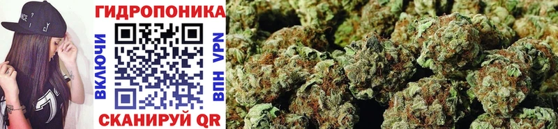 продажа наркотиков  Киселёвск  кракен сайт  Каннабис OG Kush 